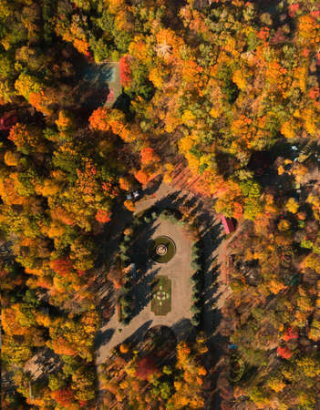 Autumn aerial top down view of Park area. Ukraineの写真素材