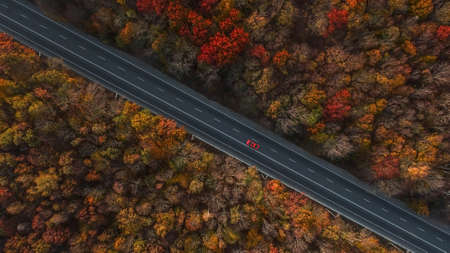 Red car on the road in beautiful autumn forest. Top view