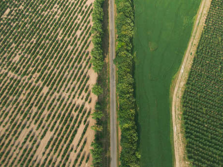 Aerial panorama of the road, that leads between green patterns of fields and gardens. Ukraine, Europeの写真素材