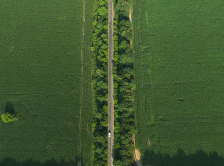 Aerial top down green field with crossing roadの写真素材
