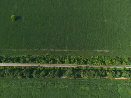 Aerial top down green field with crossing roadの写真素材
