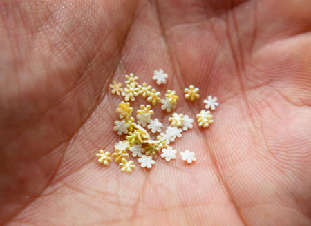 Macro Photography to a glitters yellow and white flowers over hand palmの写真素材