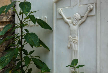 Green Plant growing up in front of a stone with a Crucified Jesus Christ sculpture, The contrast between life and deathの写真素材