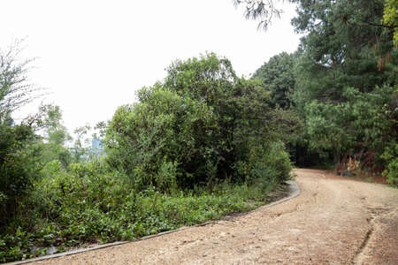 Sand road into andeas mountain with rainforest. ideal for adventure, trekking and hikingの写真素材