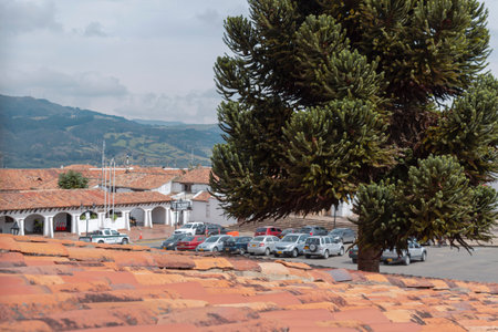 GUATAVITA, COLOMBIA - Ceramic rooftop view of a great tree and guatavita parking car. architecture and town conceptのeditorial素材