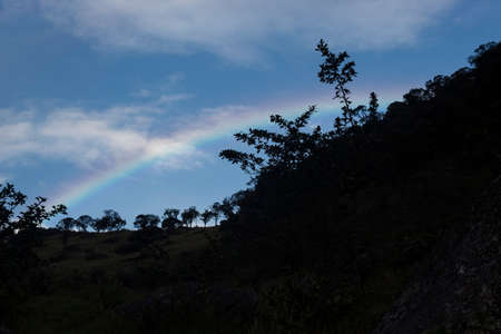 faint rainbow with andean forest silhouette and blue sky at background early in the morningの写真素材