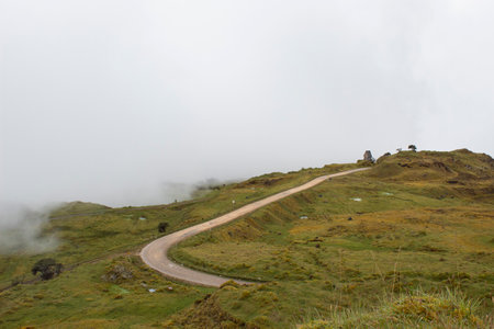 Beautiful viewpoint landscape inside chingaza national natural park known as Palace mine with a sand road and fogのeditorial素材