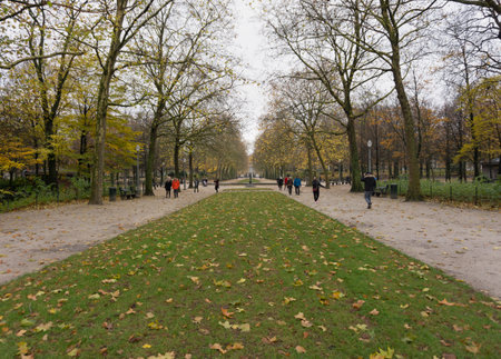 Beautiful brussels park autumn scene with people taking a walk and brown leaves over the grassのeditorial素材