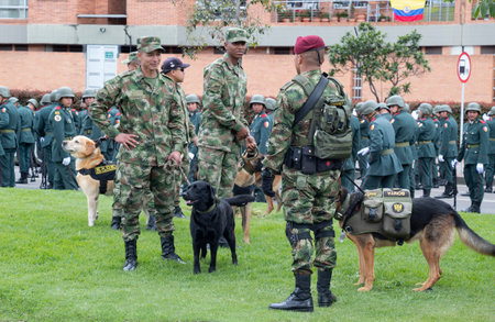 Mounted Police unit known as carabineros during colombian independence day military parade