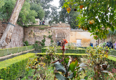 Generalife cypress yard trees and bushes and antique arabic architectureのeditorial素材