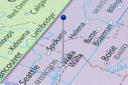 Close up to a Walla Walla city with a blue pin needle into United States of America country...
