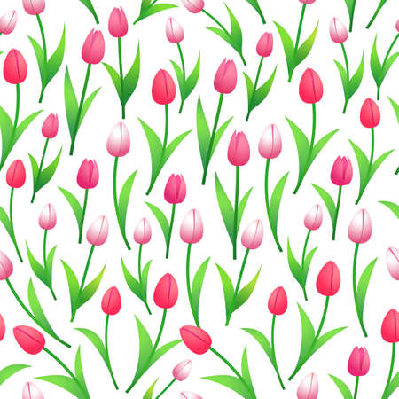 Seamless pattern of red spring tulips .のイラスト素材