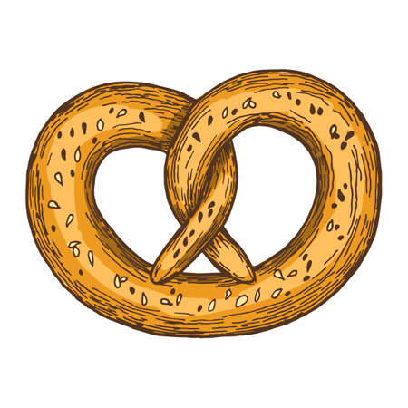 Pretzel on white background. Colorful sketch of pretzel. Vintage style illustration of Oktoberfest pretzel. Hand drawing of pretzel to beer. Vector.のイラスト素材
