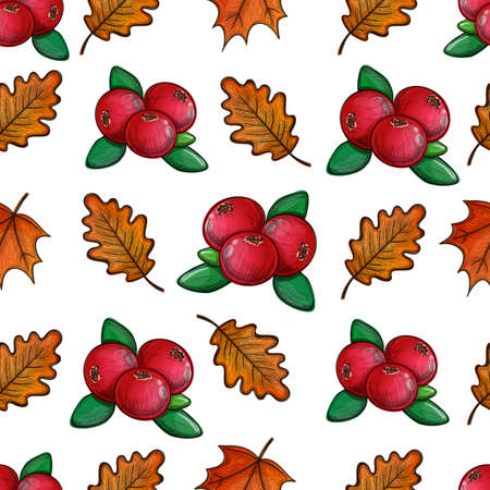 Colorful sketch seamless pattern with cranberries and leaves. Vector.のイラスト素材