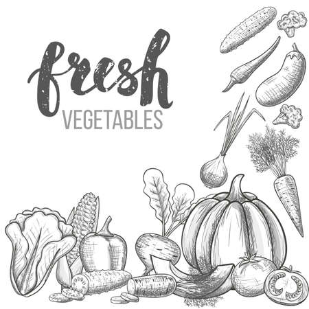 Monochrome sketch style set of vegetables icons. Eco organic fresh template with vegetables for the decoration of menu. Vector.のイラスト素材