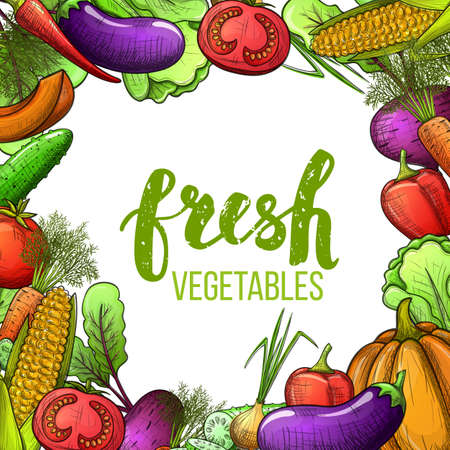 Colorful sketch style set of vegetables icons. Eco organic fresh template with vegetables for the decoration of menu. Vector.のイラスト素材