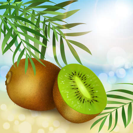 Realistic kiwi, kiwi cut in half and palm leaves on a sunny summer beach background. Vector.のイラスト素材
