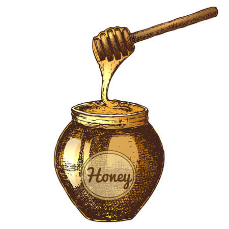 Hand drawn ink sketch illustration of honeypot, organic nature product vector illustrationのイラスト素材