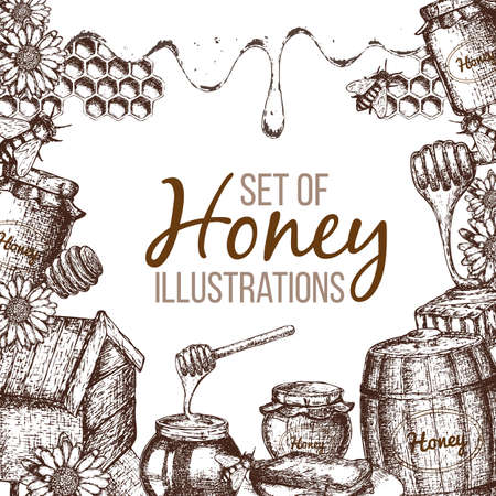 Set of honey sketchのイラスト素材