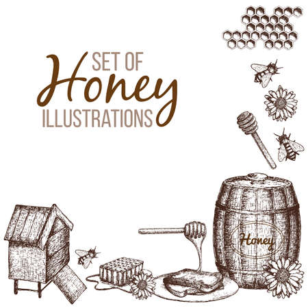 Hand drawn ink sketch illustration, set of honey, organic nature products. Vectorのイラスト素材