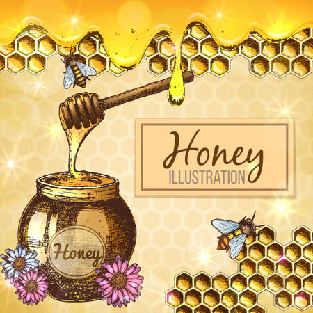 Colorful sketch illustration, set of honey, organic nature product. Vectorのイラスト素材