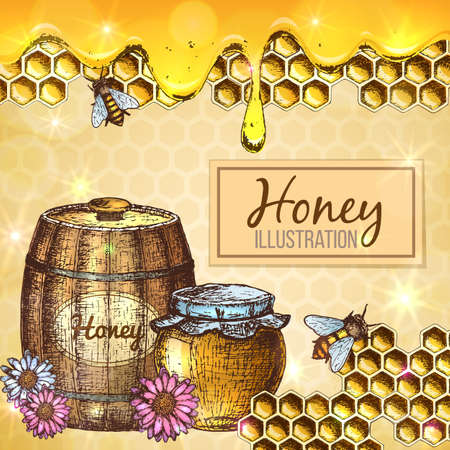 Colorful sketch illustration, set of honey, organic nature product. Vectorのイラスト素材