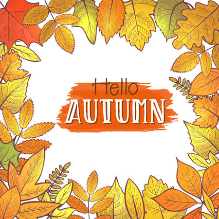 Background with colorful skeleton autumn leaves, hello autumn. Vectorのイラスト素材