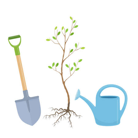 Seedling tree, shovel and watering can - tree planting, colorful illustration. Vectorのイラスト素材