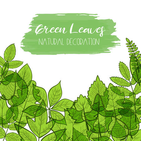 Background with colorful transparent skeleton green leaves, natural decoration. Vectorのイラスト素材