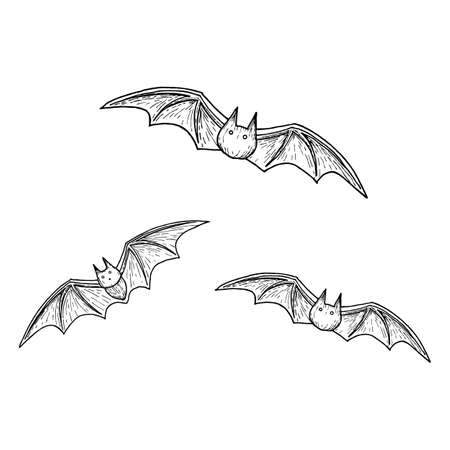 Flying bat, scary Halloween sketch illustration. Vectorのイラスト素材
