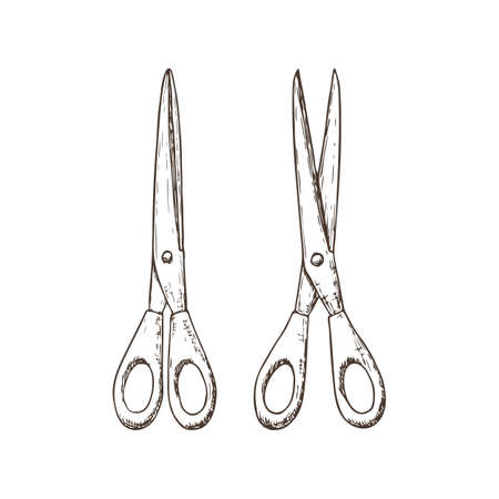 Set of scissors, sketch illustration of accessories for handicrafts. Vectorのイラスト素材