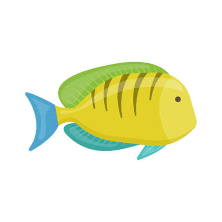 Tropical fish on white background, cartoon illustration.
