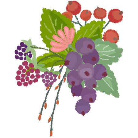 Composition with vintage forest wild berries. Illustration with torn edges and brush effect. Can be used for invitation, poster, packaging. Vectorのイラスト素材
