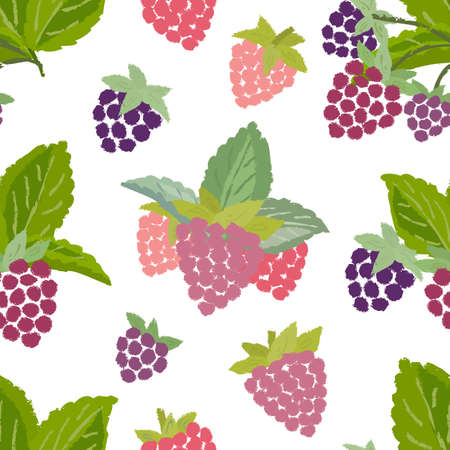 Seamless pattern of raspberry - vintage illustration of forest berry with torn edges and brush effect. Vectorのイラスト素材