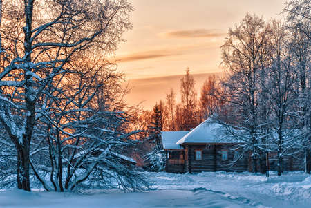 Wooden house in winter woodの写真素材