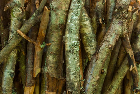 Pile of firewood