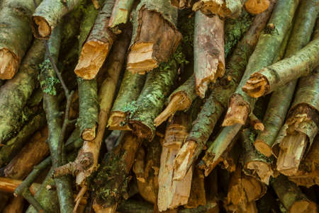 Pile of firewoodの写真素材