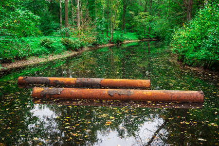 Two rusty pipes lying in the pond in the autumn parkの写真素材