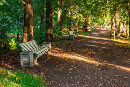 Alley with empty benches in the autumn parkの写真素材