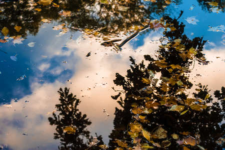 Reflection of trees, sky and clouds in a pond in the autumn parkの写真素材