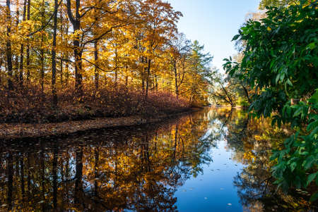 Pond in the autumn park with trees reflected in itの写真素材