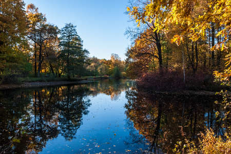 Pond in the autumn park with trees reflected in itの写真素材