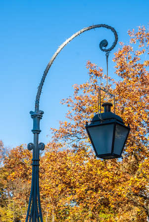 Street lamp against the sky and autumn treesの写真素材