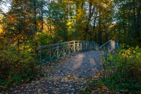 Wooden bridge in the autumn parkの写真素材