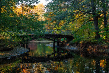 A wooden bridge over a pond in the autumn parkの写真素材