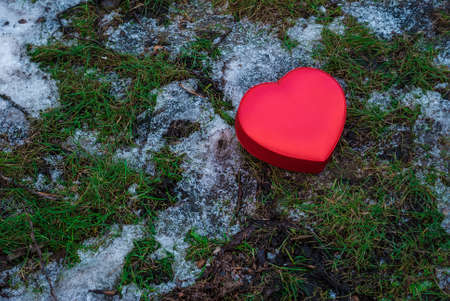 Red box heart shaped on snowy grass in winter parkの写真素材