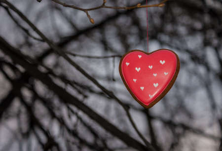 Red cookie heart shaped tied with thread to branch of treeの写真素材