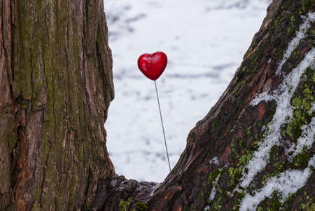 Red lollipop heart shaped on snowy trunk of tree in winter parkの写真素材