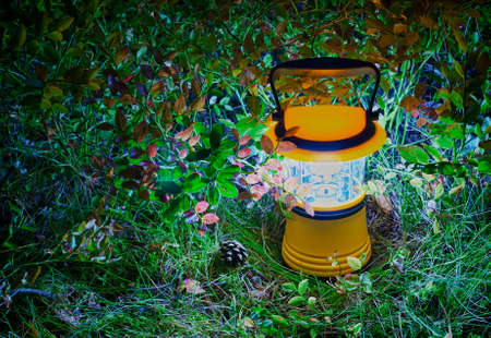 Luminous hand lantern surrounded by foliage of blueberry on the ground. HDR.の写真素材