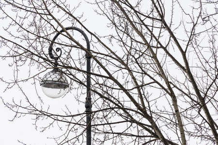 Street lamp and tree branches on the background of overcast winter skyの写真素材